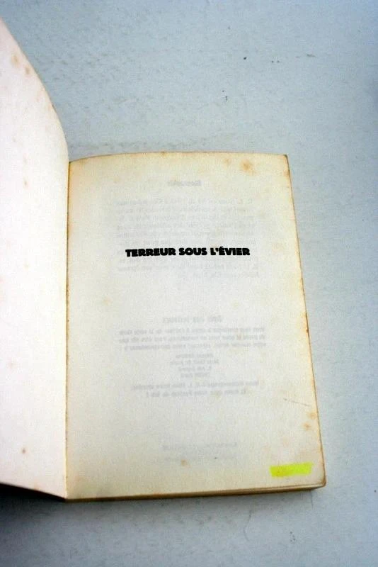 Pelo de gallina n°21 Terror bajo el fregadero de R.L.Stine, Bayard – photo 3
